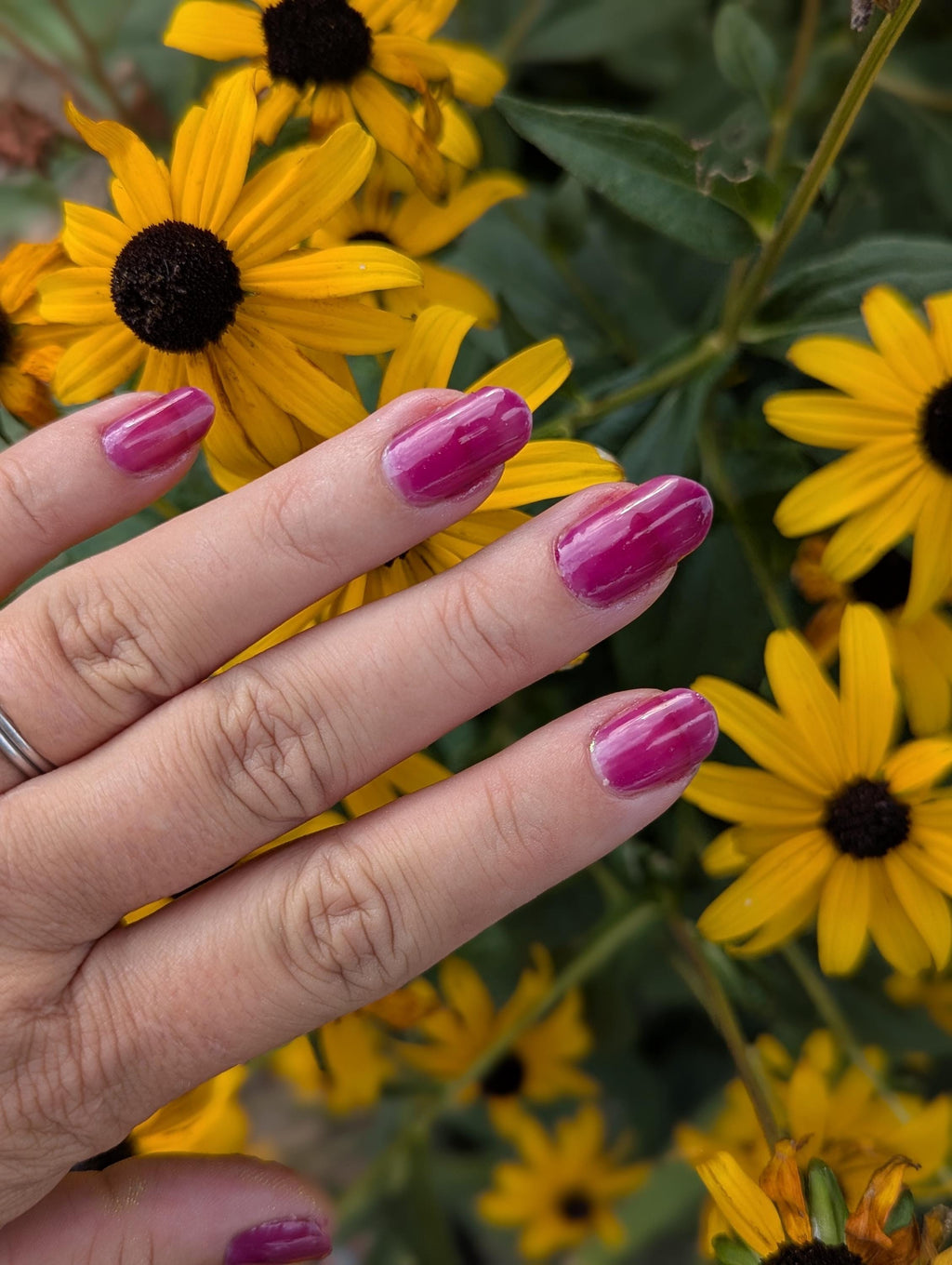 Chokecherry - Juicy Jelly Nail Polish