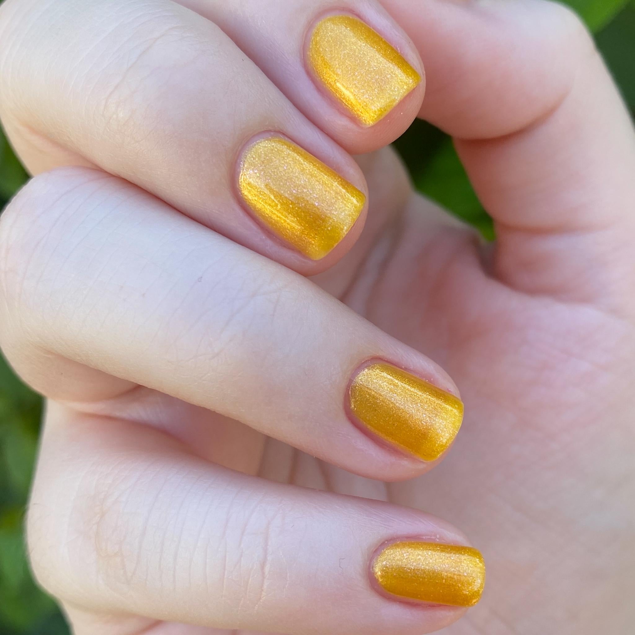 Rabbit Brush ~ Goldenrod Yellow Crelly Nail Polish