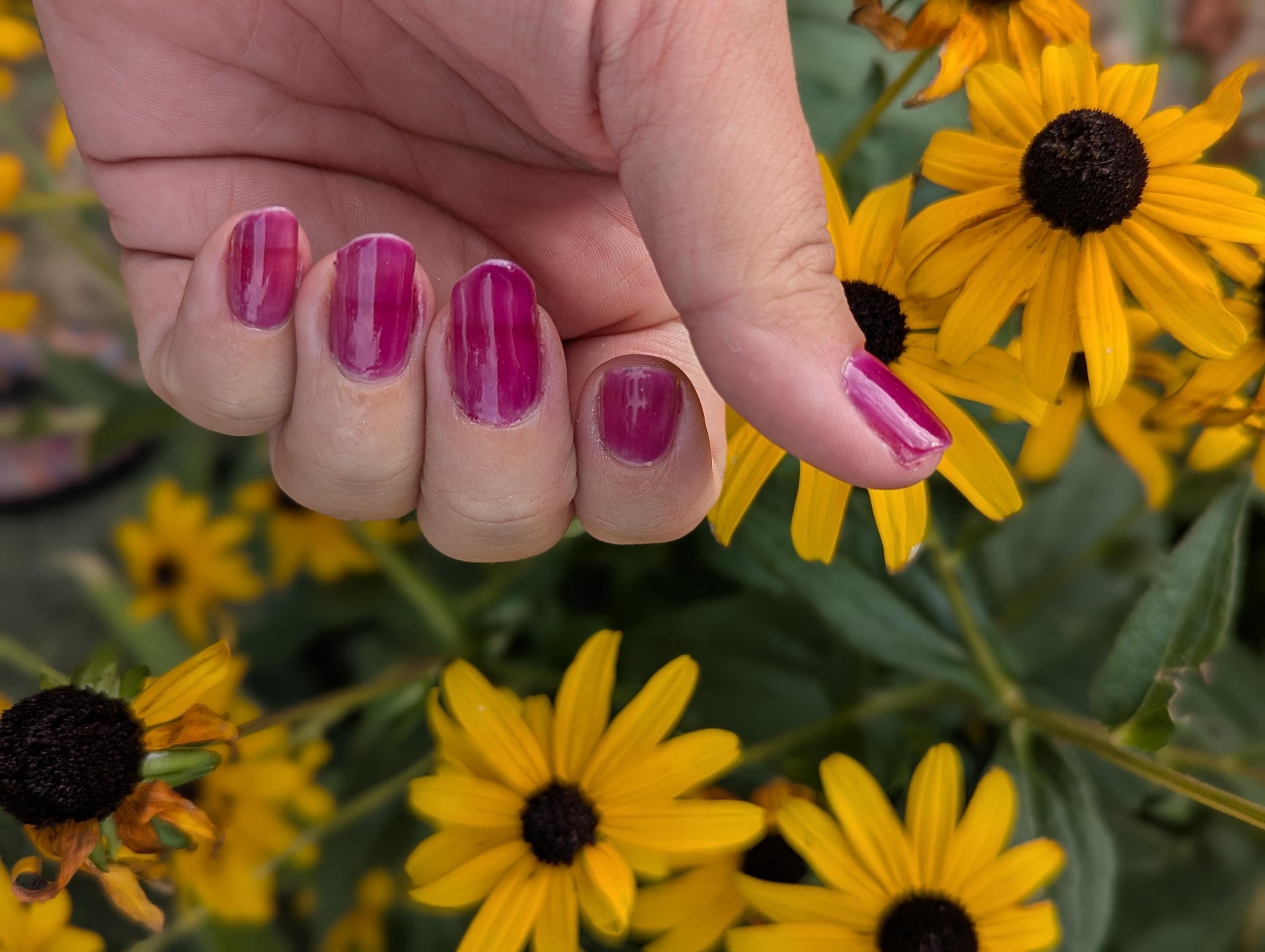 Chokecherry - Juicy Jelly Nail Polish