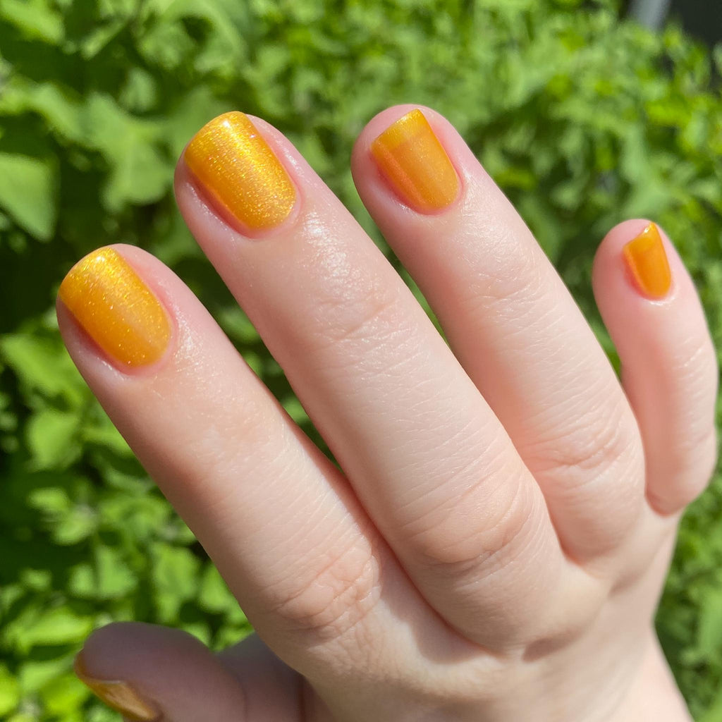 Rabbit Brush ~ Goldenrod Yellow Crelly Nail Polish