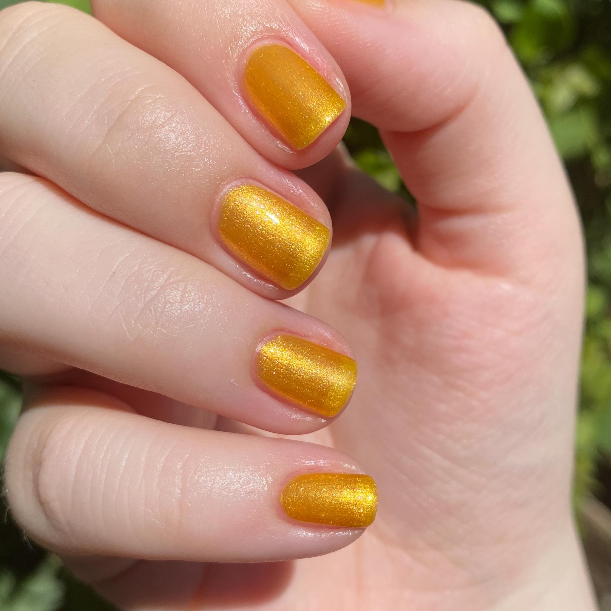Rabbit Brush ~ Goldenrod Yellow Crelly Nail Polish
