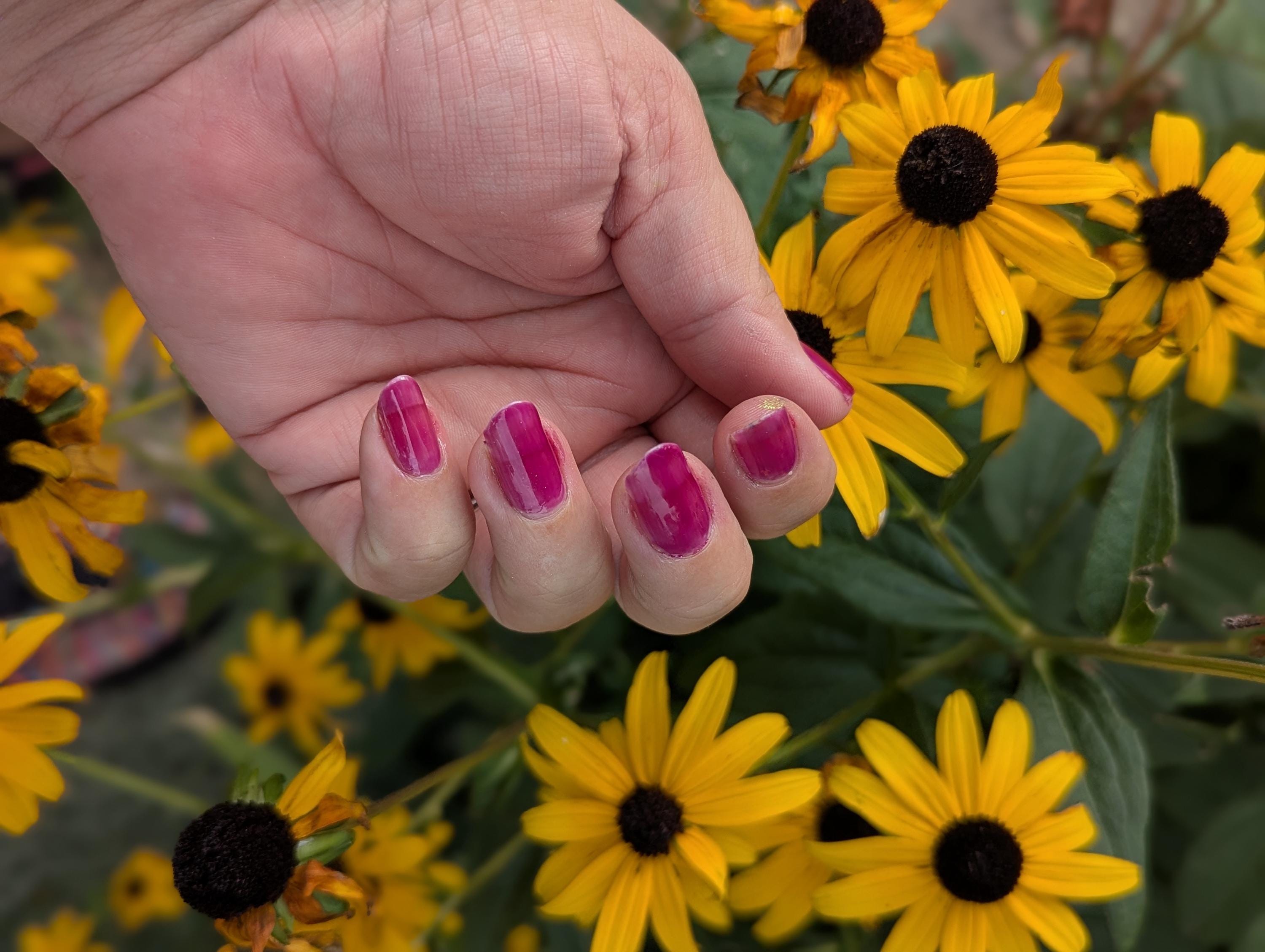 Chokecherry - Juicy Jelly Nail Polish