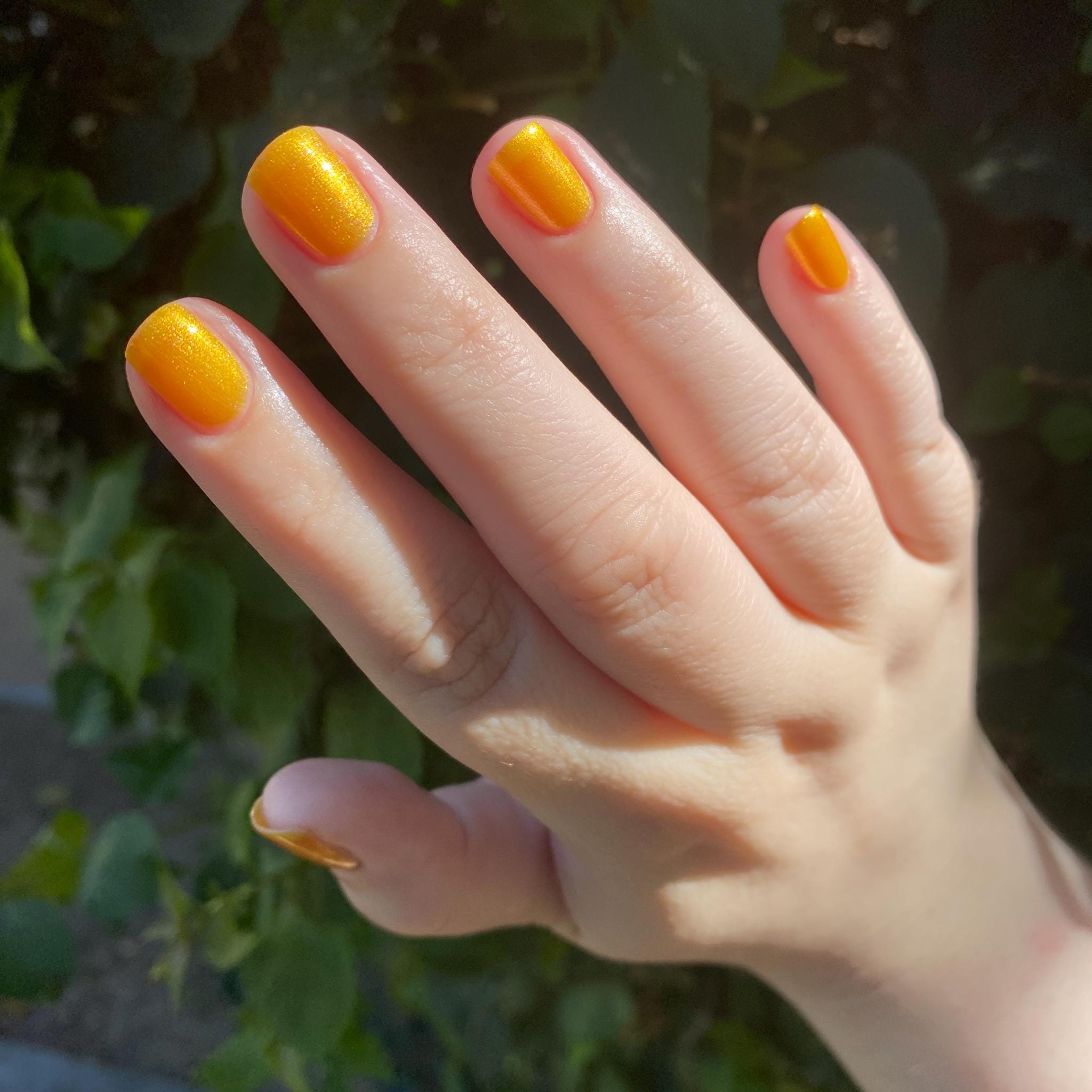Rabbit Brush ~ Goldenrod Yellow Crelly Nail Polish