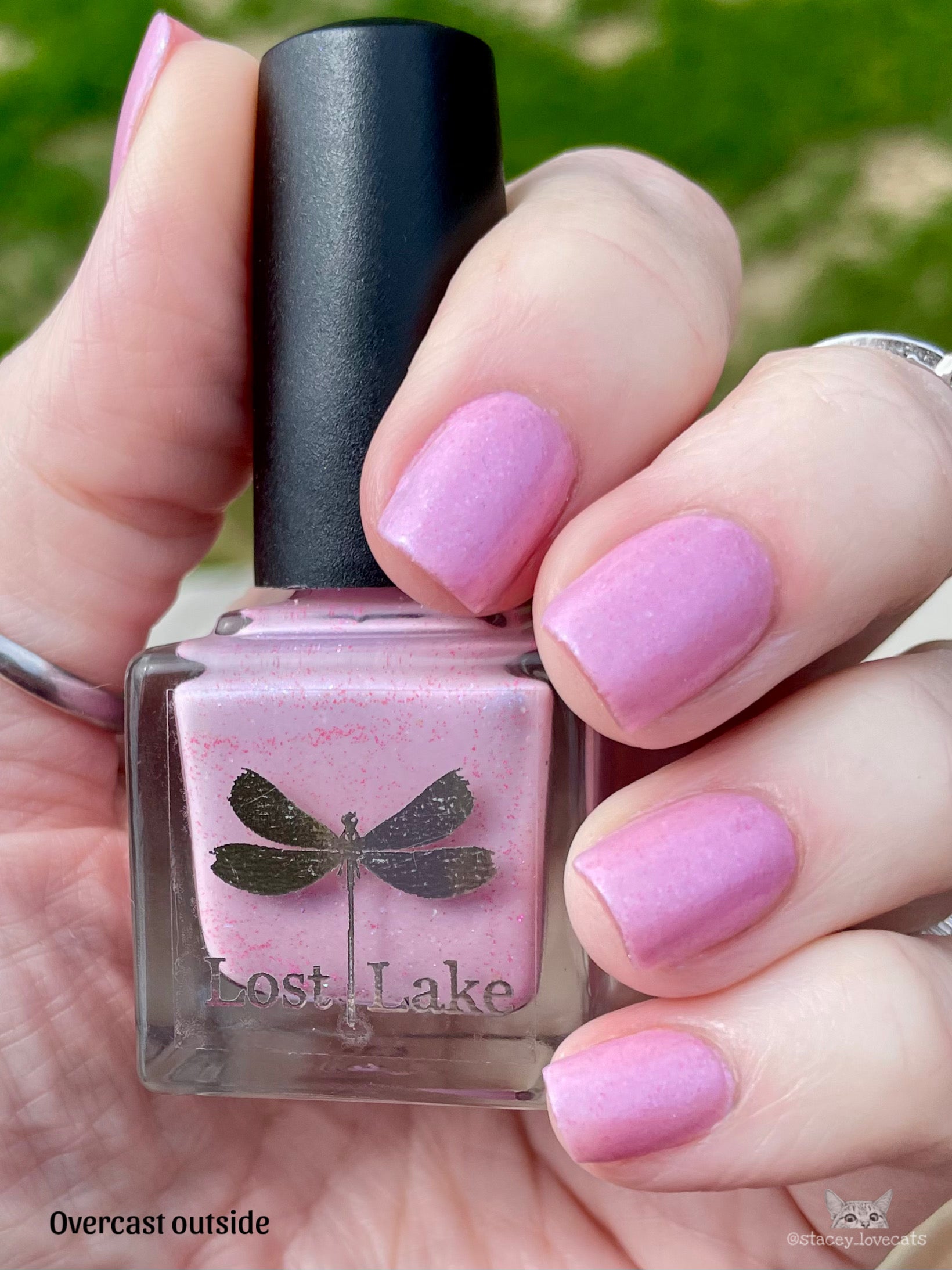 Wildflower Trails Collection