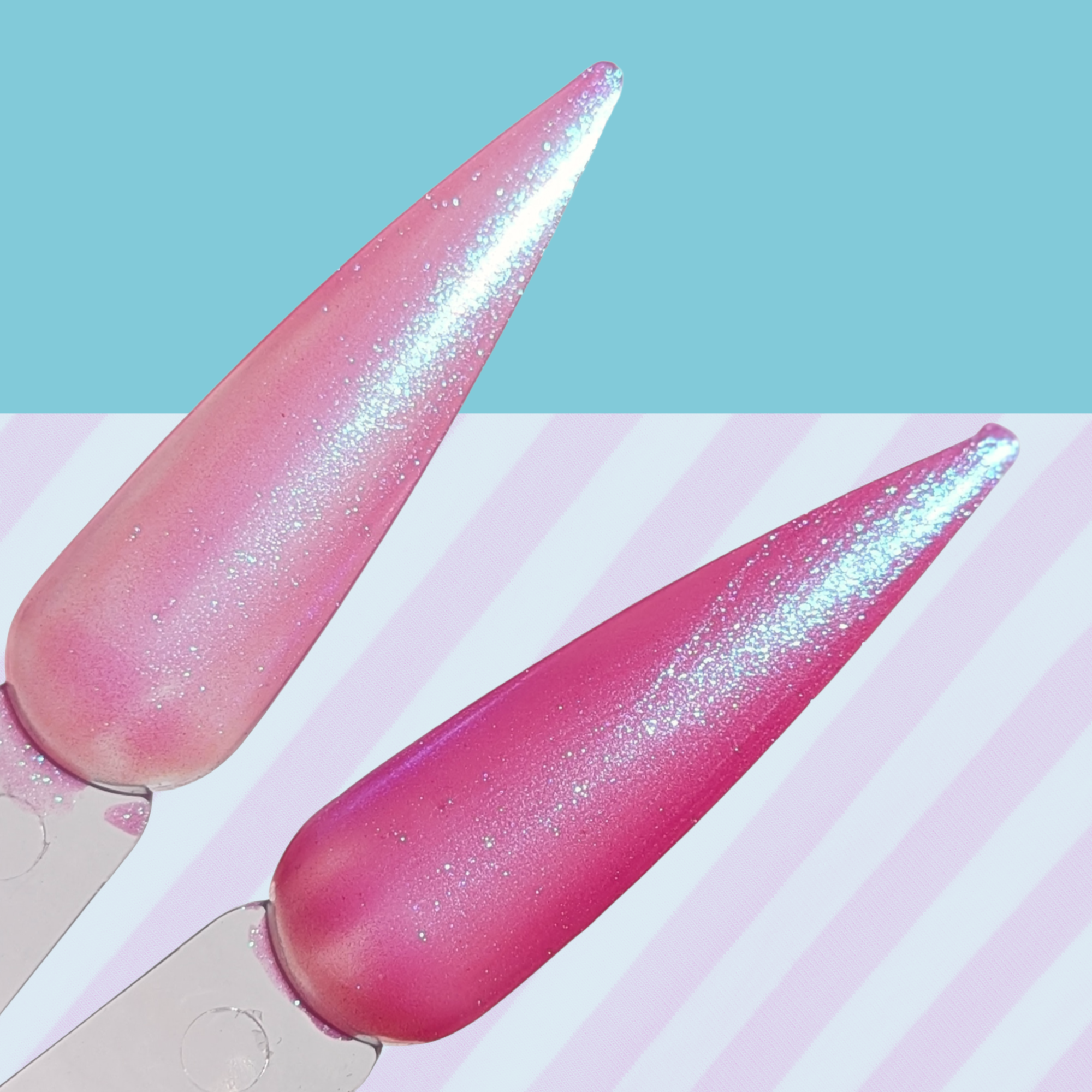 You Belong Everywhere