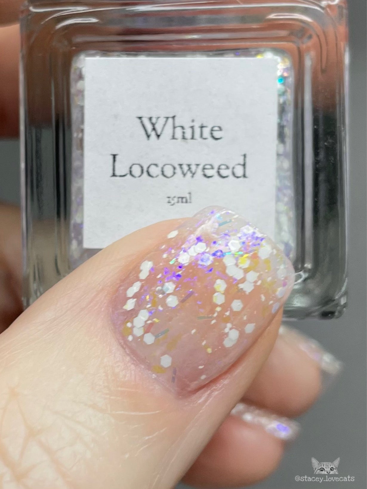 Wildflower Trails Collection