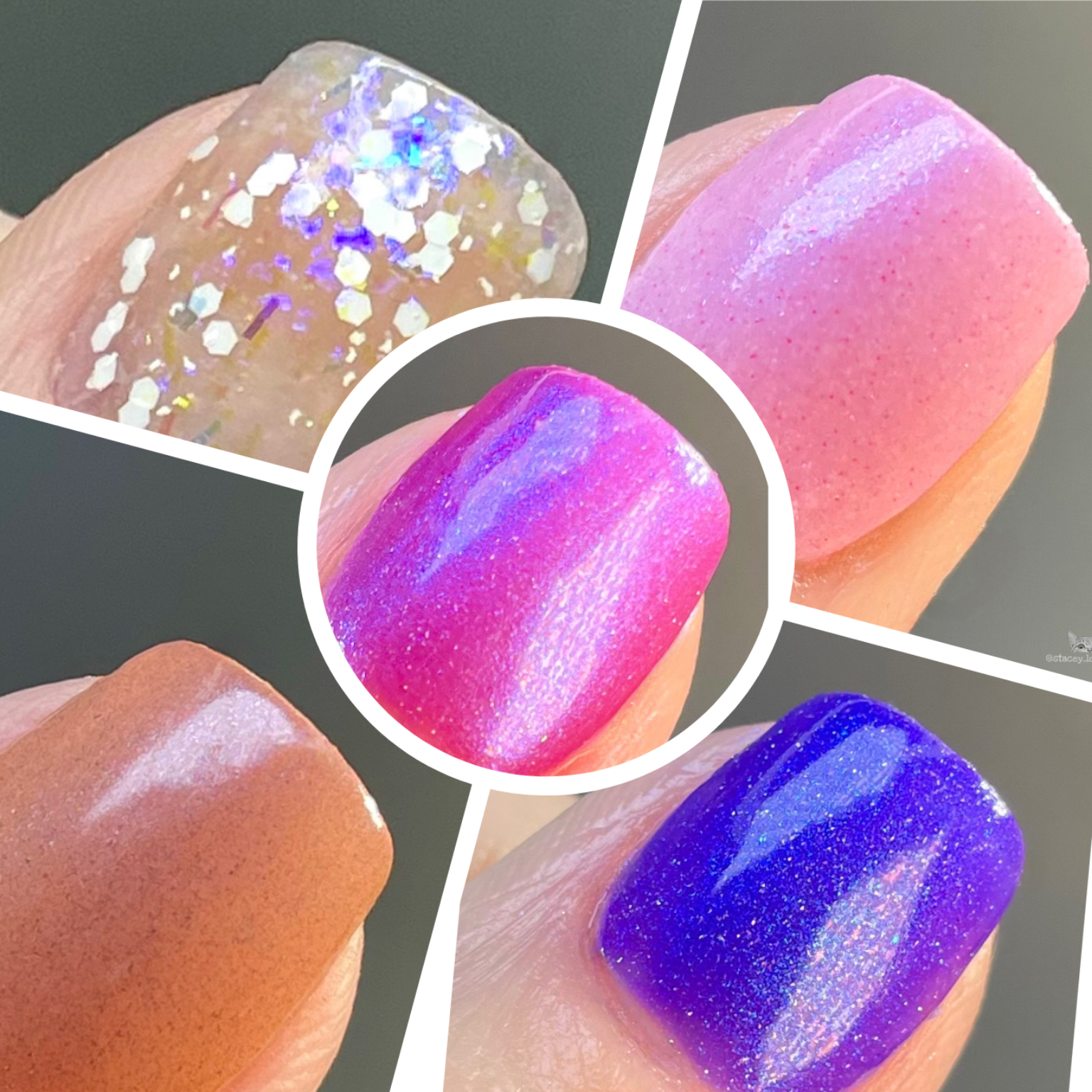 Wildflower Trails Collection