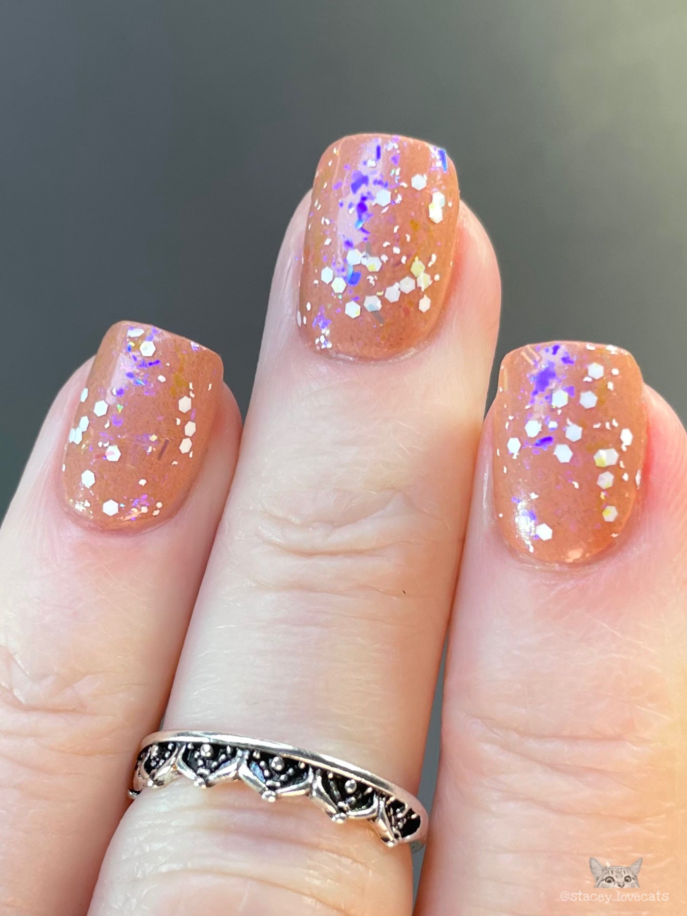 Wildflower Trails Collection