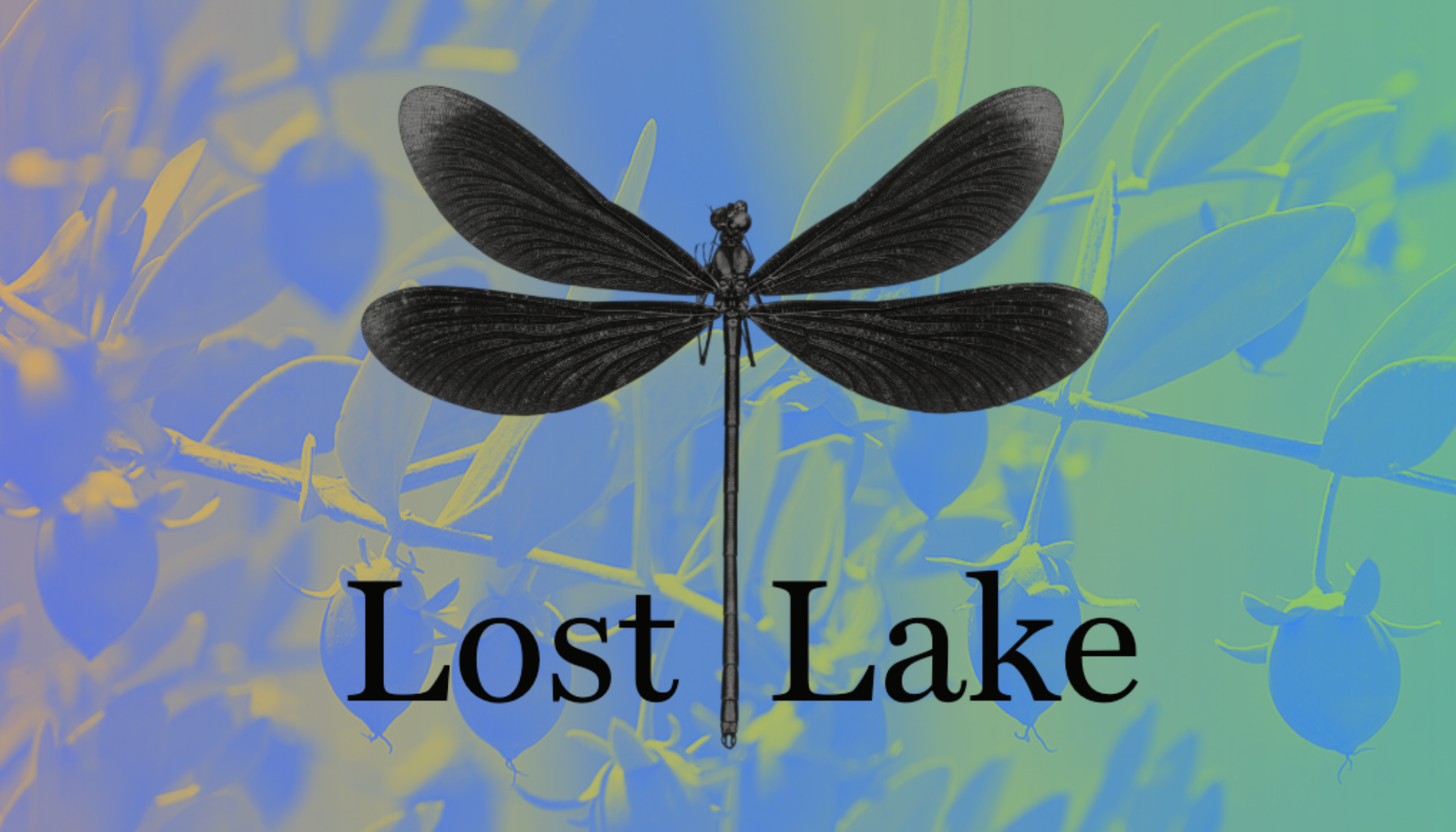 Lost Lake eGift Card