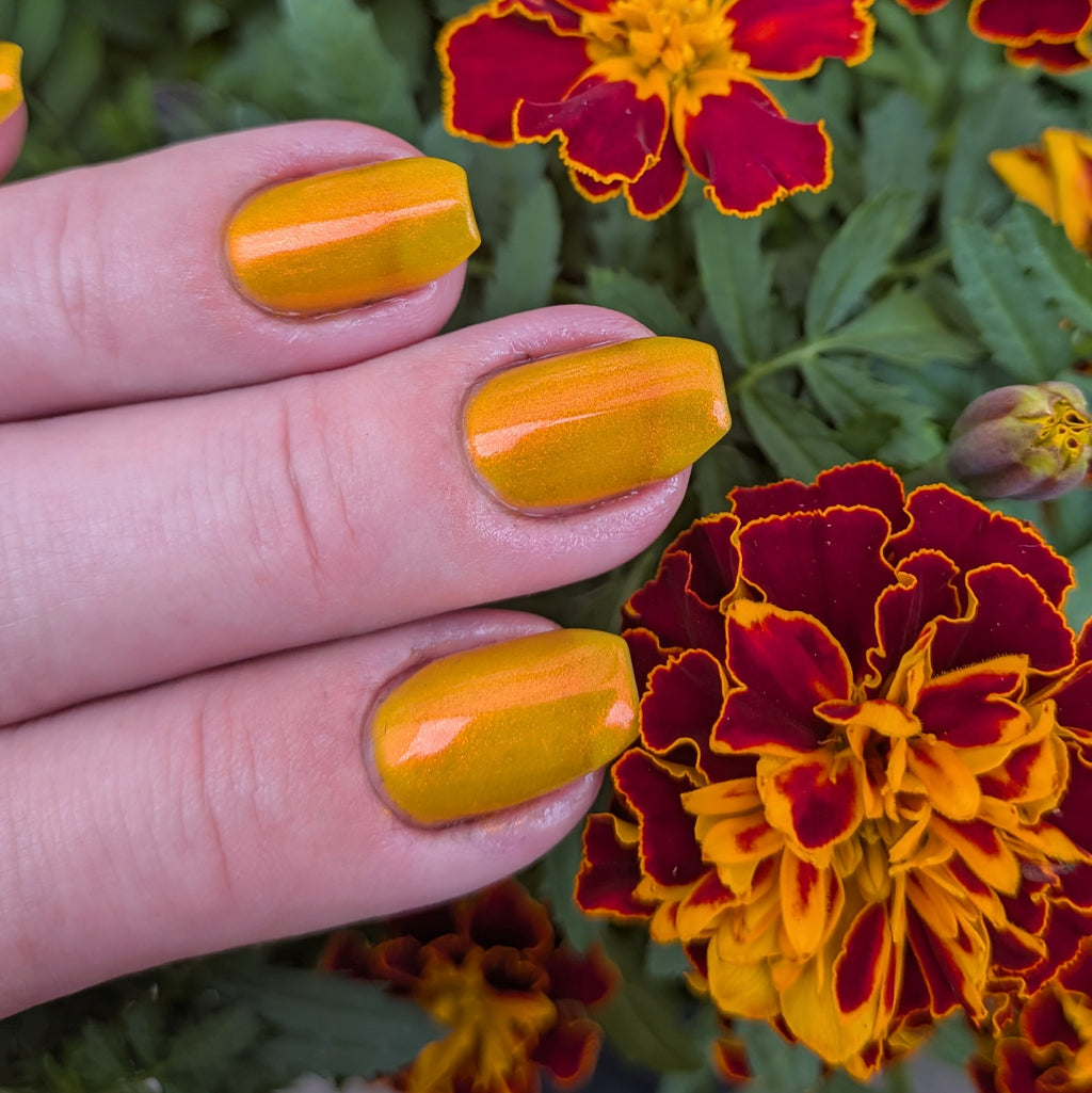 Cempasúchil | Illuminated marigold jelly nail lacquer with red to gold-green shimmer