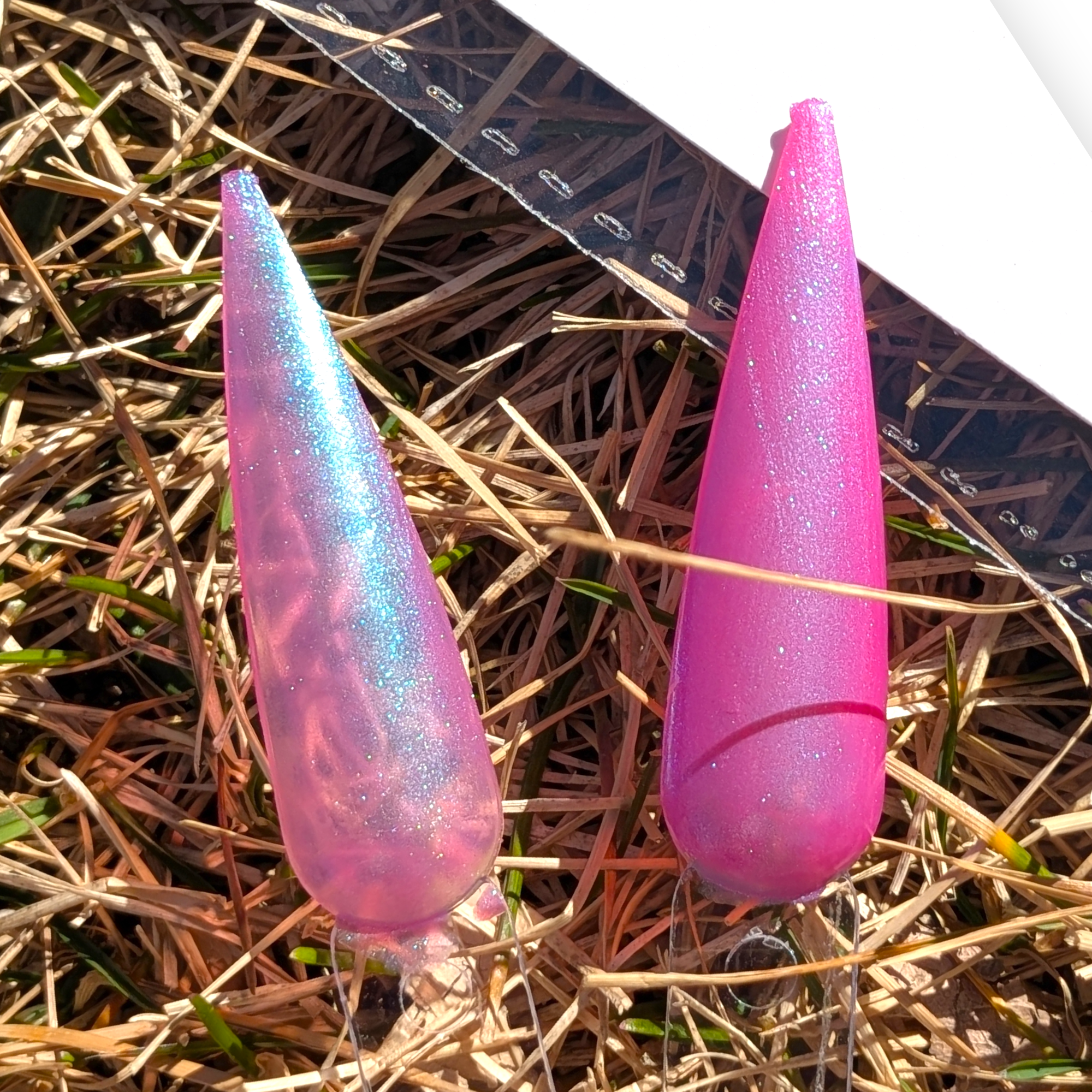 You Belong Everywhere