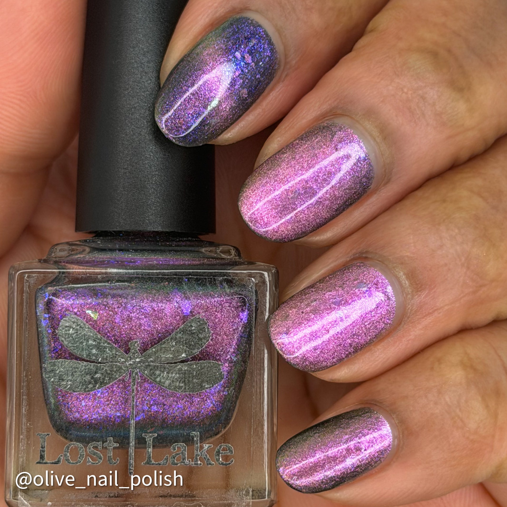 Moonbow | Sky Collection